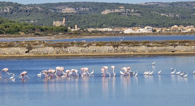 17.10.2024. Gruissan, mer à 17°, à la campagne