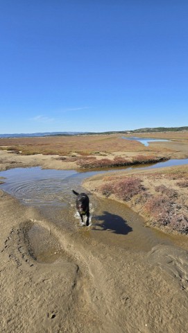 17.10.2024. Gruissan, mer à 17°, à la campagne