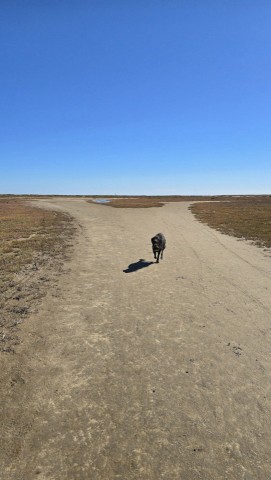 17.10.2024. Gruissan, mer à 17°, à la campagne