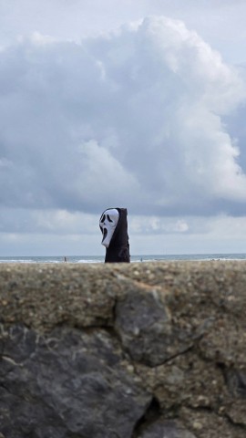 27.10.2024. Gruissan, mer à 19°, oiseaux