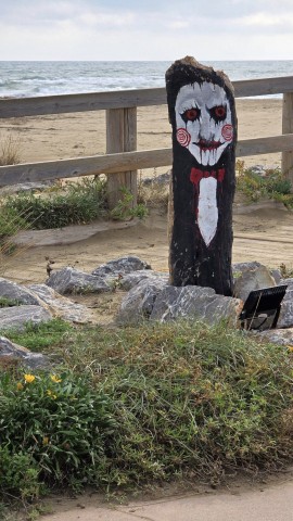 27.10.2024. Gruissan, mer à 19°, oiseaux