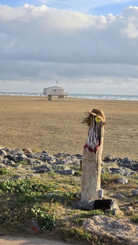 27.10.2024. Gruissan, mer à 19°, oiseaux