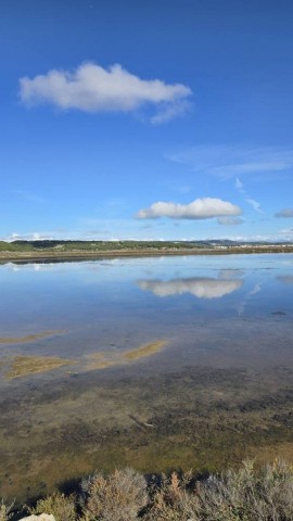 27.10.2024. Gruissan, mer à 19°, oiseaux