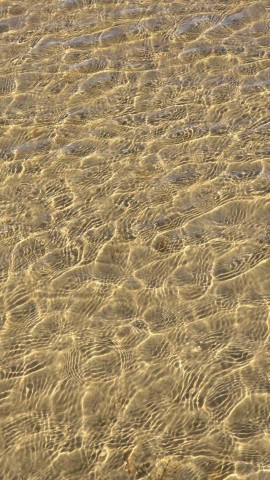 27.10.2024. Gruissan, mer à 19°, oiseaux