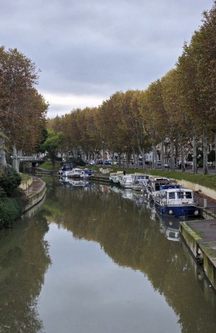 11.11.2024. Gruissan, Narbonne, oiseaux, Narbonne-Plage