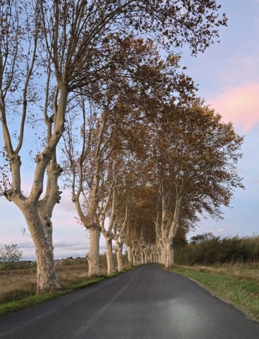 18.11.2024. Le Somail, Minerve et divers…