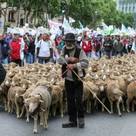 1/36. Les agriculteurs en colère marchent sur Paris. © Michel Stoupak. Dim 23.06.2013, 11h49m06.