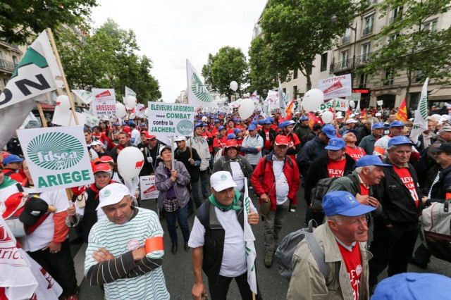 3/36. Les agriculteurs en colère marchent sur Paris. © Michel Stoupak. Dim 23.06.2013, 10h38m21.