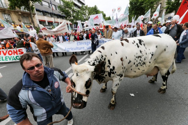 14/36. Les agriculteurs en colère marchent sur Paris. © Michel Stoupak. Dim 23.06.2013, 10h58m15