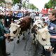 15/36. Les agriculteurs en colère marchent sur Paris. © Michel Stoupak. Dim 23.06.2013, 11h01m00.