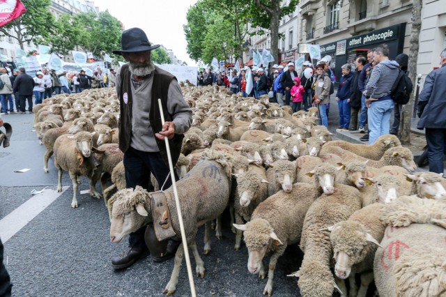 24/36. Les agriculteurs en colère marchent sur Paris. © Michel Stoupak. Dim 23.06.2013, 11h13m37.