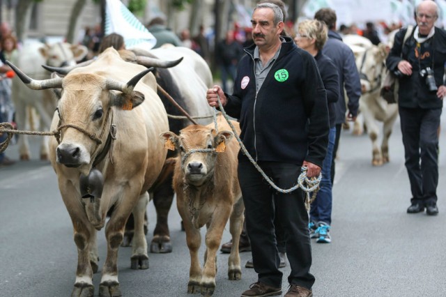 27/36. Les agriculteurs en colère marchent sur Paris. © Michel Stoupak. Dim 23.06.2013, 11h36m03.