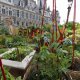 4/5. Un Jardin éphémère à l’hôtel de ville de Paris. © Michel Stoupak. Dim 30.06.2013, 14h08m44.