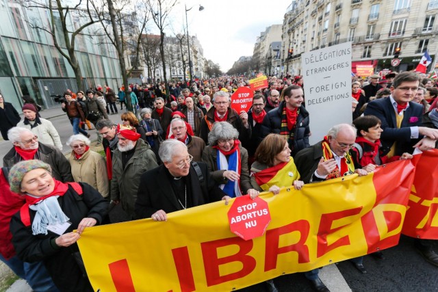 17/24. Paris : les anti-IVG saluent l’Espagne. © Michel Stoupak. Dim 19.01.2014, 15h35m14.