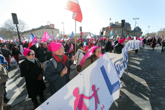 02.02.2014. La « Manif pour tous » contre la « familiphobie » du gouvernement
