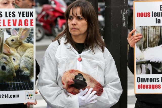 22.02.2014. Les « vegan » aux portes du Salon de l’agriculture