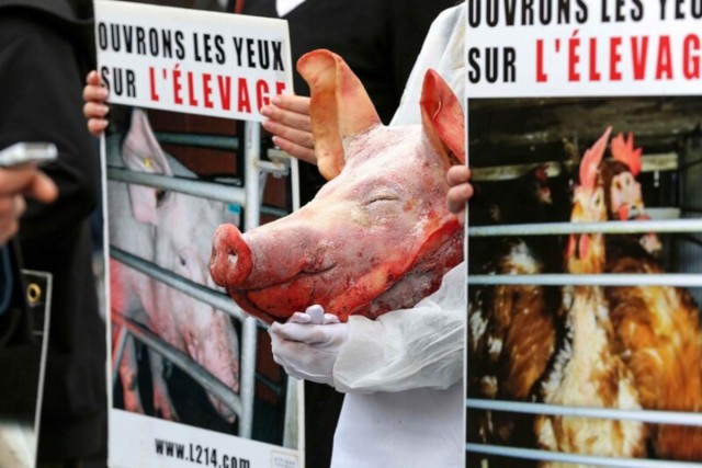 22.02.2014. Les « vegan » aux portes du Salon de l’agriculture