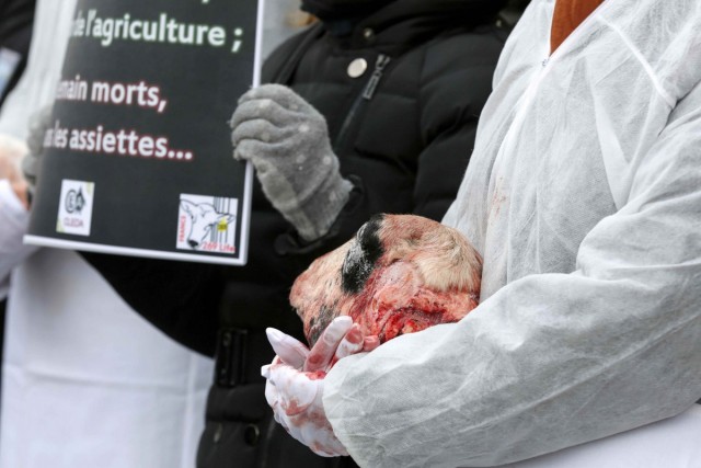 22.02.2014. Les « vegan » aux portes du Salon de l’agriculture