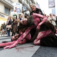 1/19. Marche contre la fourrure à Paris. © Photo Michel Stoupak. Sam 24.11.2012, 16 h 09.