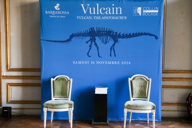 16.11.2024. « Vulcain », le plus grand dinosaure jamais présenté aux enchères