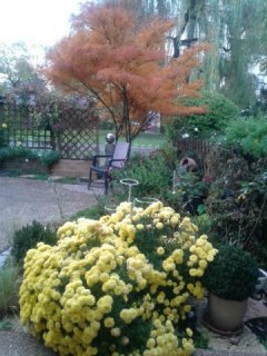 09.2015. Feuilles d'automne