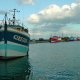 2/5. Vieux port de Roscoff. Bel alignement de bateaux. Mar 07/10/2014, 18 h 39.