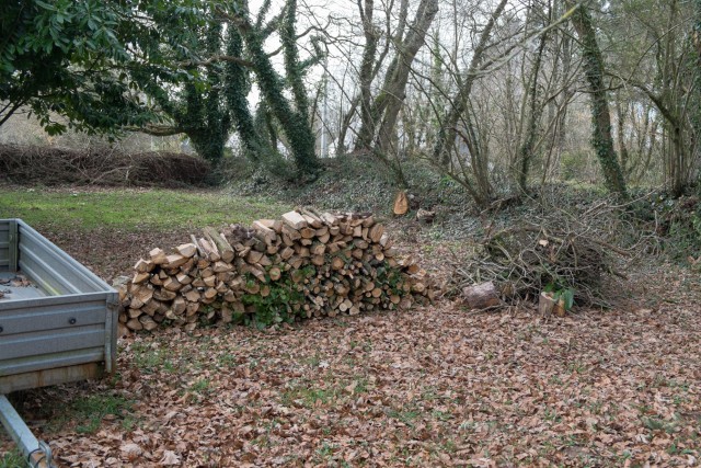 8/11. Côté nord. Restes de l'arbre abattu par une tempête en novembre 2014. Ven 06.03.2015. 14:18.