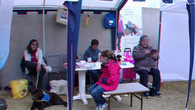 10/12. Le stand d'Handi'Chiens Bretagne. © Photo J.-F. Saby. Sam 16.04.2016, 16:53.