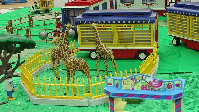 Diorama des cirques. Les girafes. 15 h 38.