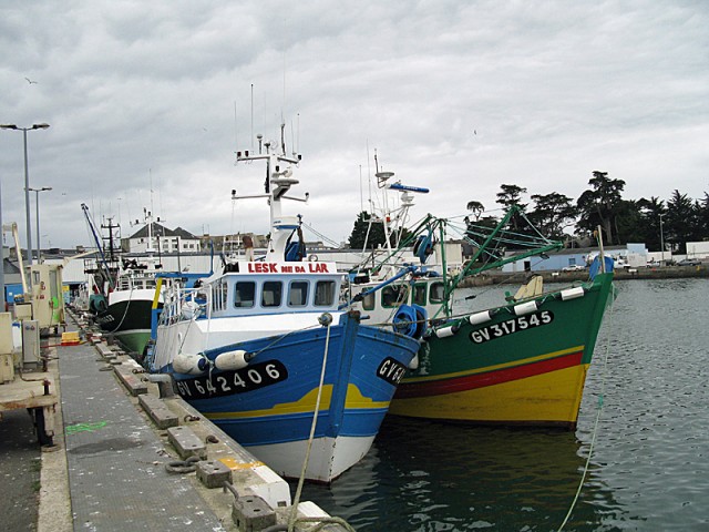 3/5. Loctudy : le port de pêche. Mar 15.07.2008 - 15:07.