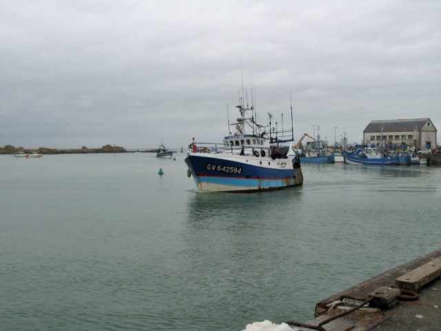 4/16. Saint-Guénolé : retour des pêcheurs. Ven 18.07.2008 - 16:32.