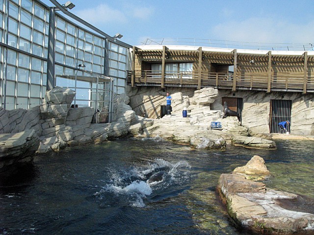 20.04.2009. Boulogne-sur-Mer