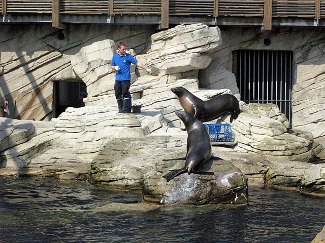 20.04.2009. Boulogne-sur-Mer