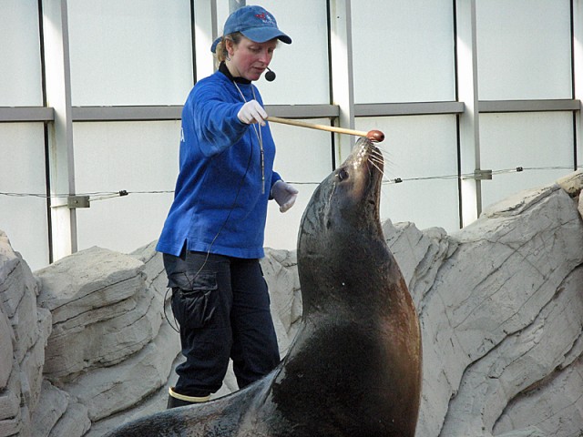 20.04.2009. Boulogne-sur-Mer