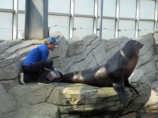 20.04.2009. Boulogne-sur-Mer
