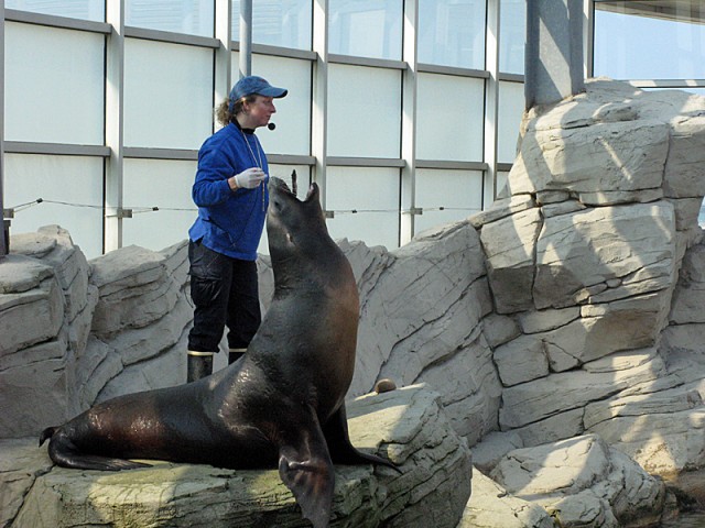 20.04.2009. Boulogne-sur-Mer