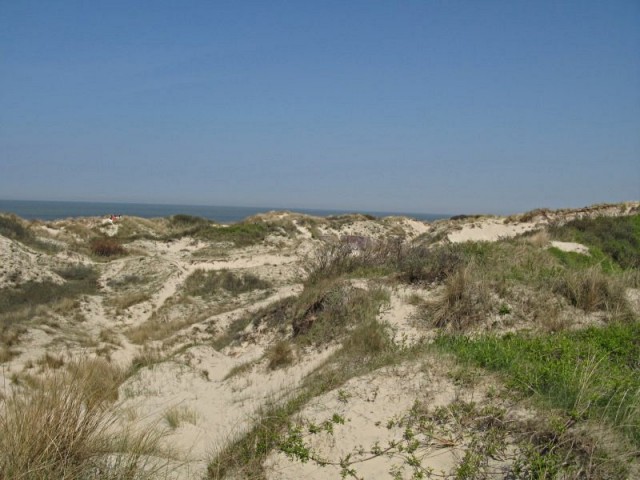 47/58. Zuydcoote. Dunes Marchand. Jeu 23.04.2009 - 14:50.