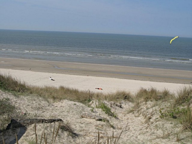 48/58. Zuydcoote. Les vents violents du nord-ouest ont érigé là des dunes. Jeu 23.04.2009 - 14:58.