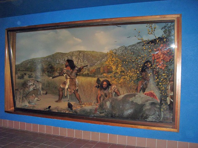 26.08.2009. Tautavel. Musée de la préhistoire