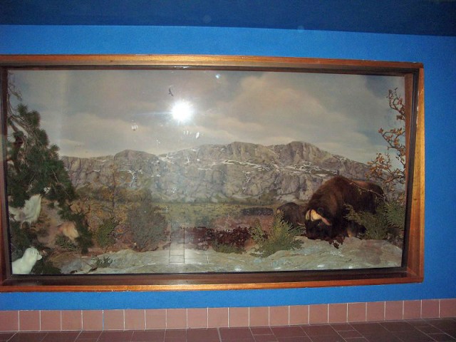 26.08.2009. Tautavel. Musée de la préhistoire