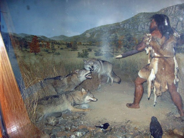 26.08.2009. Tautavel. Musée de la préhistoire