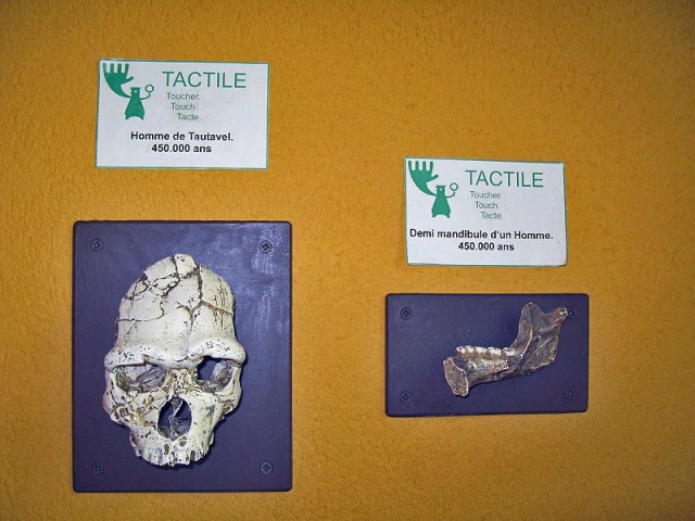 26.08.2009. Tautavel. Musée de la préhistoire