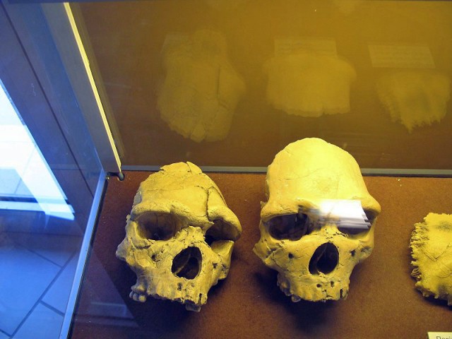 26.08.2009. Tautavel. Musée de la préhistoire