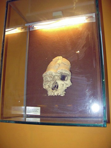 26.08.2009. Tautavel. Musée de la préhistoire