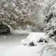 2/41. Kéradennec sous la neige. Mer 01.12.2010, 12:51.