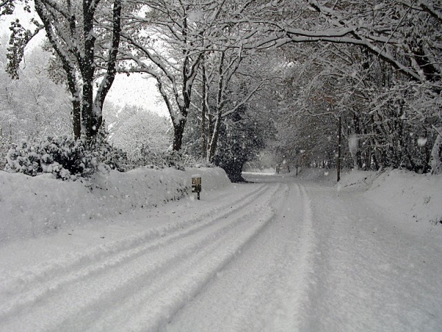4/41. Kéradennec sous la neige. Mer 01.12.2010, 12:52.