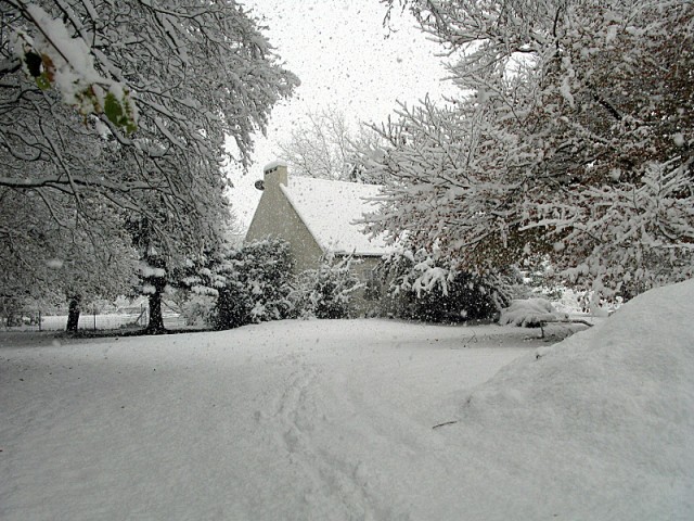 6/41. Kéradennec sous la neige. Mer 01.12.2010, 12:53.