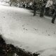 11/41. Kéradennec sous la neige. Mer 01.12.2010, 12:55.