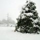 13/41. Kéradennec sous la neige. Mer 01.12.2010, 12:56.