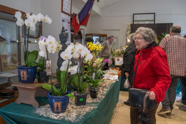 52/54. Association Breizh Orchidées (ABO). Dim 27.04.2014, 17 h 40.
